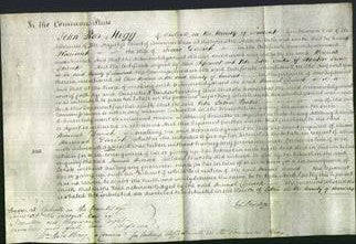 Court of Common Pleas - Hannah Derrick-Original Ancestry