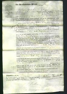 Court of Common Pleas - Mary Leatherbarrow, Ann Cammack and Sophia Pawlett-Original Ancestry