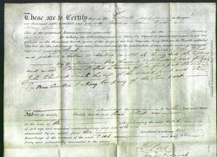 Deed by Married Women - Sarah Blunt-Original Ancestry