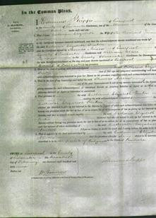 Court of Common Pleas - Catherine Elizabeth Fenton-Original Ancestry