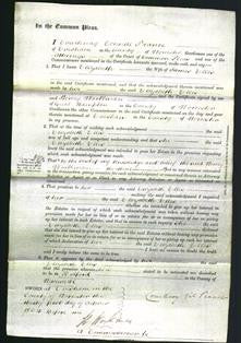 Court of Common Pleas - Elizabeth Ellis-Original Ancestry