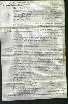 Court of Common Pleas - Mary Harteson Eddenes-Original Ancestry