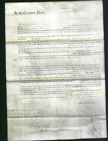 Court of Common Pleas - Susannah Nightingale-Original Ancestry