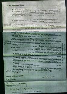 Court of Common Pleas - Mary Ann Cross-Original Ancestry