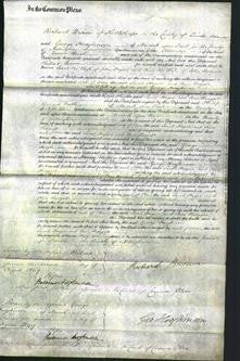 Court of Common Pleas - Sarah Hague and Ann Redgate-Original Ancestry