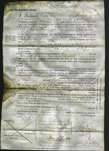 Court of Common Pleas - Susannah Hobson, Ann Tittensor and Jane Milner-Original Ancestry