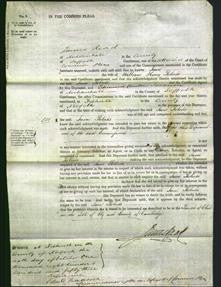 Court of Common Pleas - Jane Roberte-Original Ancestry