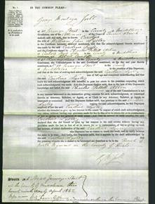 Court of Common Pleas - Caroline Lysley-Original Ancestry