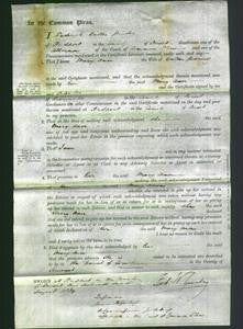 Court of Common Pleas - Mary Ann Goaring-Original Ancestry