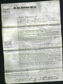 Court of Common Pleas - Frances Elizabeth Eusor-Original Ancestry