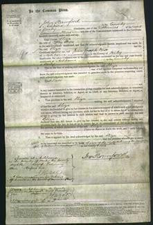 Court of Common Pleas - Eliza Shore-Original Ancestry