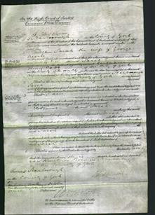 Court of Common Pleas - Sarah Nevile-Original Ancestry