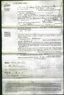 Court of Common Pleas - Catherine Baker-Original Ancestry