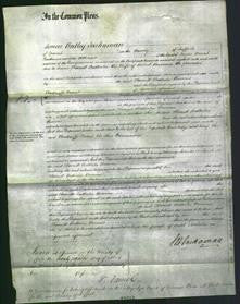 Court of Common Pleas - Harriett Batterbee Burrows-Original Ancestry