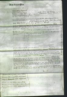 Court of Common Pleas - Frances Newbery-Original Ancestry