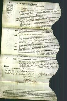 Court of Common Pleas - Cecilia Gill Hardinge-Original Ancestry