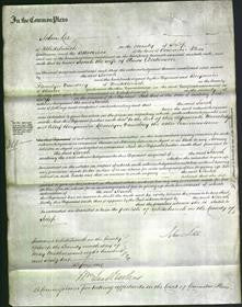 Court of Common Pleas - Sarah Dickenson-Original Ancestry