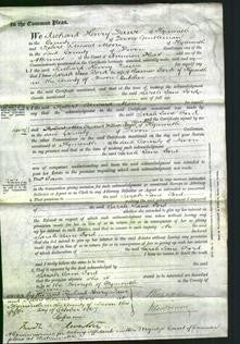 Court of Common Pleas - Sarah Jane Ford-Original Ancestry