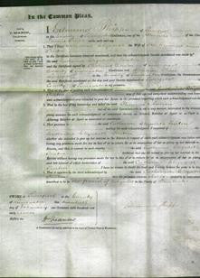 Court of Common Pleas - Catherine Elizabeth Fenton-Original Ancestry