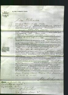 Court of Common Pleas - Elizabeth Johnson-Original Ancestry