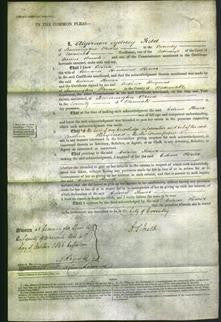 Court of Common Pleas - Celina Flower-Original Ancestry