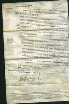 Court of Common Pleas - Elizabeth Penn-Original Ancestry