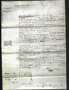 Court of Common Pleas - Mary Elizabeth Hill and Diana Tattnall-Original Ancestry