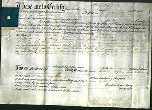 Deed by Married Women - Rebecca Budd, Sophia Goulding, Rosetta Hearman-Original Ancestry