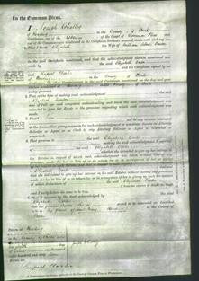 Court of Common Pleas - Elizabeth Darter-Original Ancestry