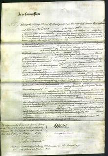 Court of Common Pleas - Jane Fry-Original Ancestry
