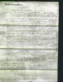 Court of Common Pleas - Maria Pumfrett-Original Ancestry