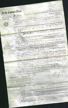 Court of Common Pleas - Elizabeth Lawrence Robinson-Original Ancestry