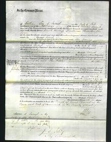 Court of Common Pleas- Sarah Thiselton-Original Ancestry