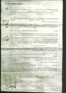 Court of Common Pleas - Emma King-Original Ancestry