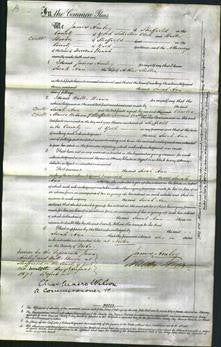 Court of Common Pleas - Sarah Ann Shelton-Original Ancestry