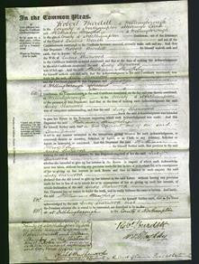 Court of Common Pleas - Lucy Sherwood-Original Ancestry