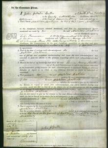 Court of Common Pleas - Matilda Matthews-Original Ancestry