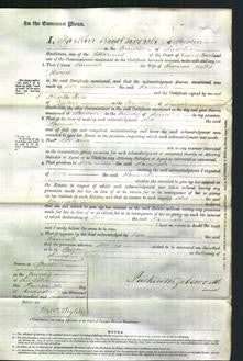 Court of Common Pleas - Hannah Thorpe-Original Ancestry