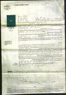 Court of Common Pleas - Elizabeth Sophia Kimber-Original Ancestry
