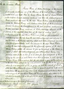 Court of Common Pleas - Rhoda Perkins-Original Ancestry