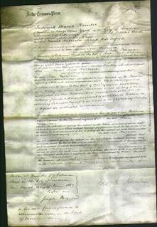 Court of Common Pleas - Jane Harrison-Original Ancestry