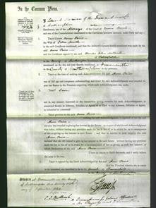 Court of Common Pleas - Ann Paice Smith-Original Ancestry