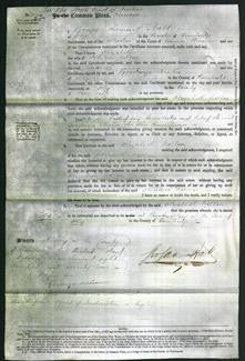 Court of Common Pleas - Elizabeth Willson-Original Ancestry