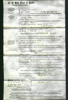 Court of Common Pleas - Eliza Cotton-Original Ancestry