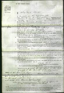 Court of Common Pleas - Fanny Payn-Original Ancestry