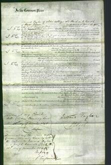 Court of Common Pleas - Phillis Taylor Gorick and Sarah Taylor Bond-Original Ancestry