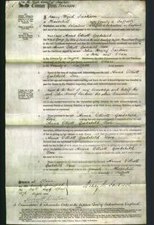 Court of Common Pleas - Anna Elliott Goodchild Love-Original Ancestry
