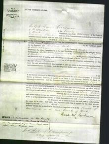 Court of Common Pleas - Jane Holman-Original Ancestry