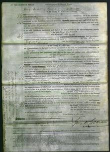 Court of Common Pleas - Eliza Southwood Chinly-Original Ancestry