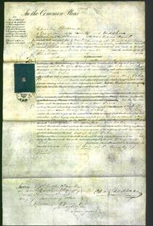 Court of Common Pleas - Mary Parsons and Delia Duncombe-Original Ancestry